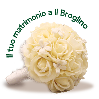 Il tuo matrimonio al Broglino